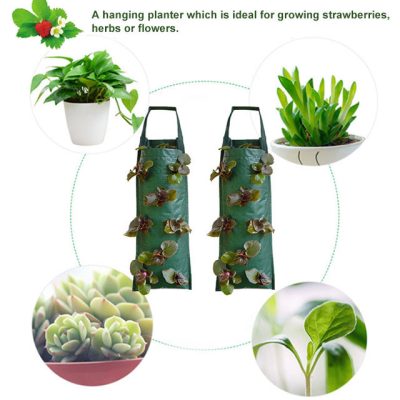 Green Plastic Grow Bags, For Growing Plants